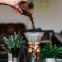 The Crucial Role of Well-Roasted Beans in Coffee Excellence