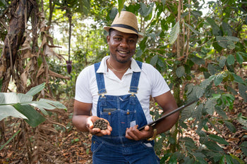 Every Coffee Bean is Carefully Chosen