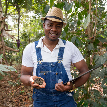 Every Coffee Bean is Carefully Chosen