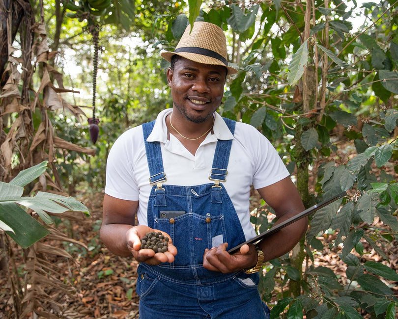 Every Coffee Bean is Carefully Chosen