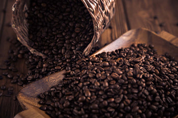 Experience the Art of Well-Roasted Coffee