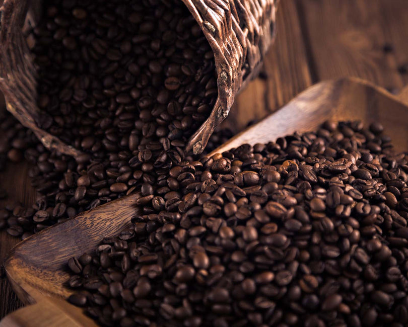 Experience the Art of Well-Roasted Coffee