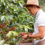 Nuvia Coffee: A journey to the purest essence of Brazilian cultures